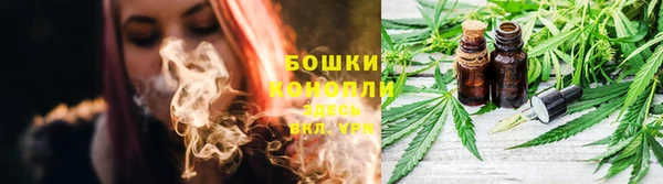 молекула духа Нязепетровск