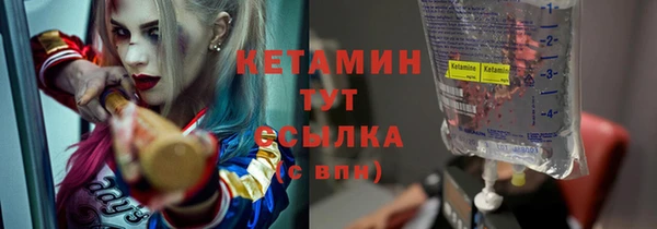 твердый Новозыбков