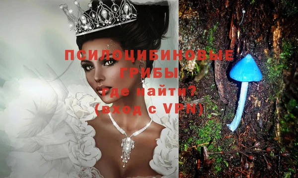 меф Нягань