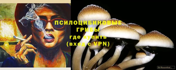 твердый Новозыбков