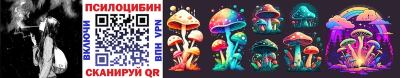 ссылка на мегу маркетплейс  Нарткала  Галлюциногенные грибы Cubensis 