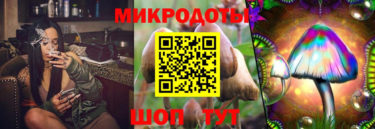 Псилоцибиновые грибы GOLDEN TEACHER  Псилоцибиновые грибы прущие грибы  Нарткала  купить закладку  Вход с VPN 